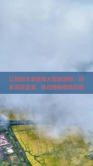 辽阳到西藏羊卓雍措大型旅游团