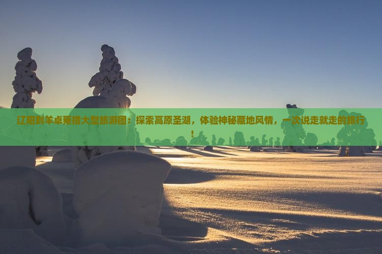 辽阳到西藏羊卓雍措大型旅游团