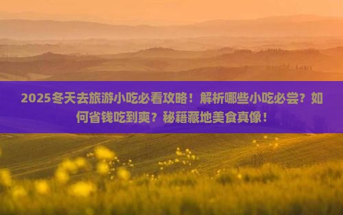 冬天去西藏旅游小吃