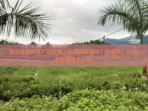 延边去西藏林芝三日游
