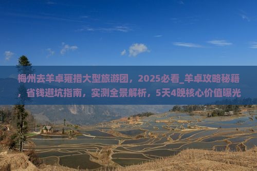 梅州去西藏羊卓雍措大型旅游团