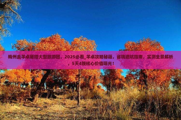 梅州去西藏羊卓雍措大型旅游团
