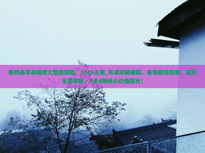 梅州去西藏羊卓雍措大型旅游团