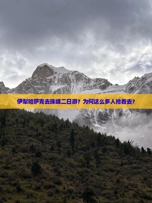 伊犁哈萨克去西藏珠峰大本营二日游