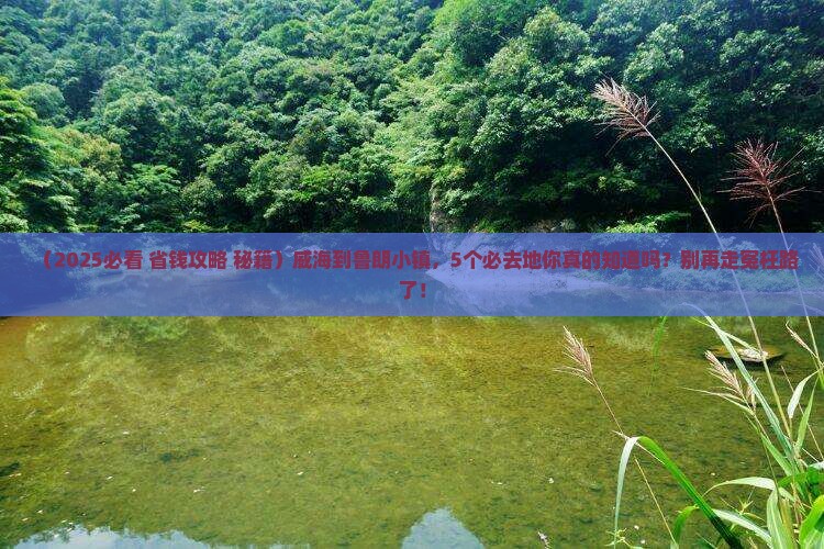 威海到西藏鲁朗小镇必去地