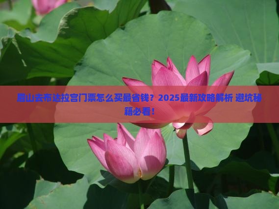 眉山去西藏布达拉宫门票