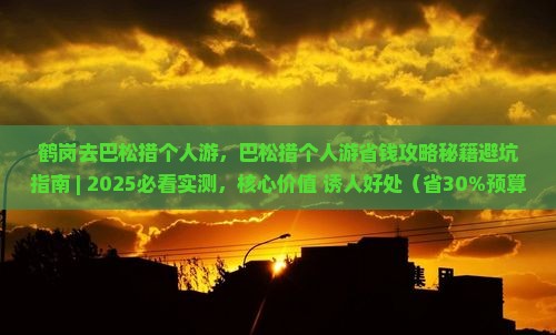 鹤岗去西藏巴松措个人游