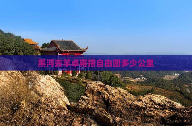黑河去西藏羊卓雍措自由团