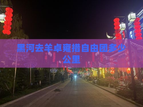 黑河去西藏羊卓雍措自由团