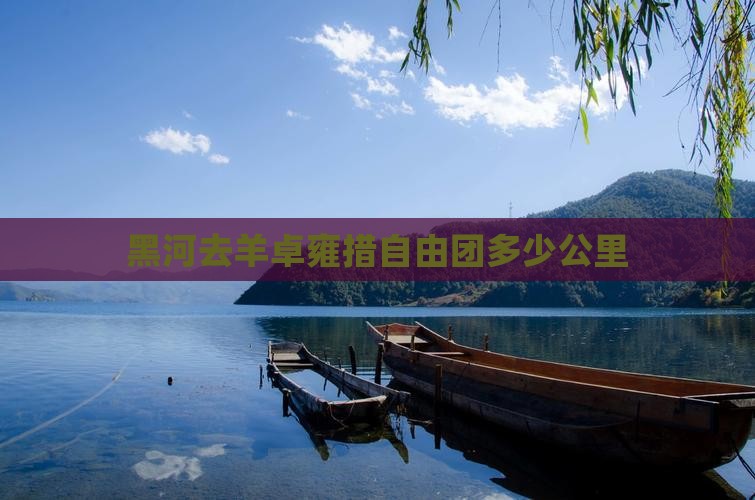 黑河去西藏羊卓雍措自由团