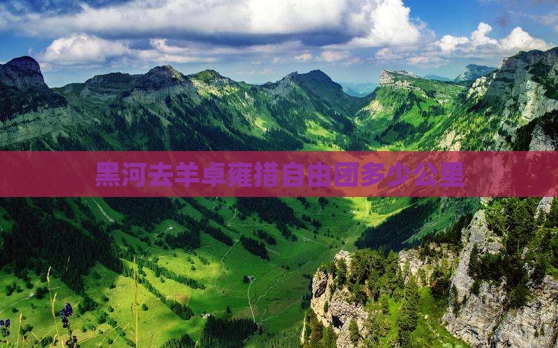 黑河去西藏羊卓雍措自由团