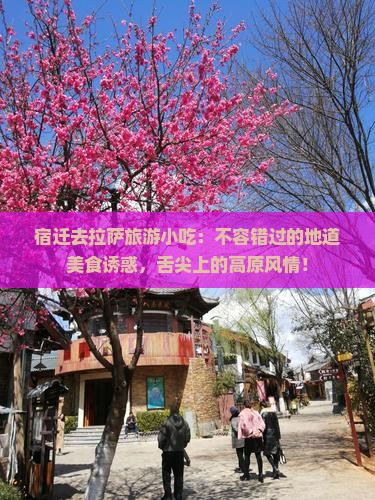 宿迁去西藏拉萨旅游小吃