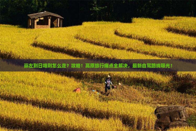 崇左到西藏日喀则攻略