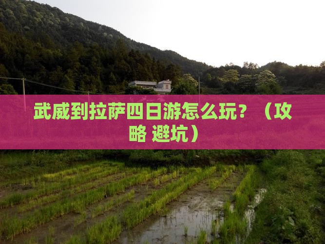 武威到西藏拉萨四日游