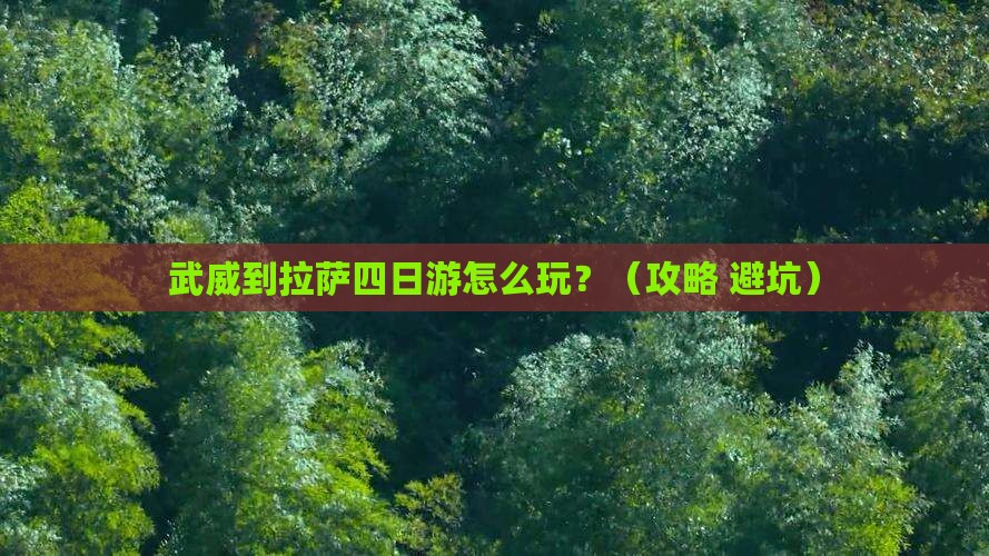 武威到西藏拉萨四日游