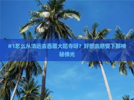 清远到西藏大昭寺一日