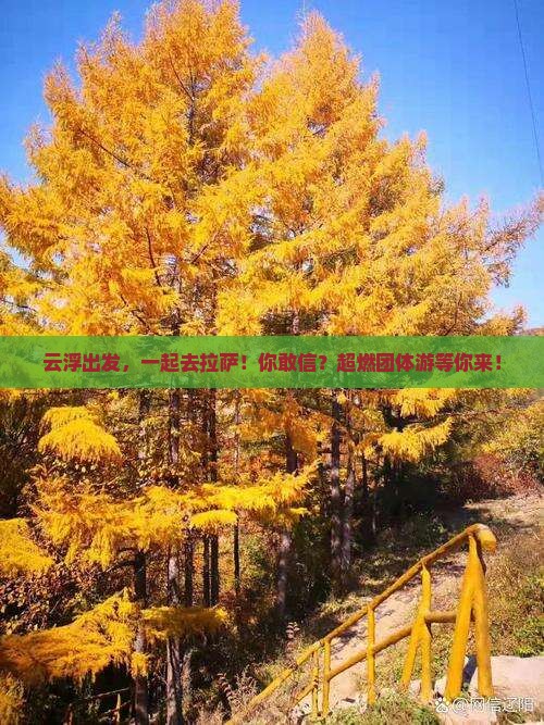 云浮到西藏拉萨团体旅游
