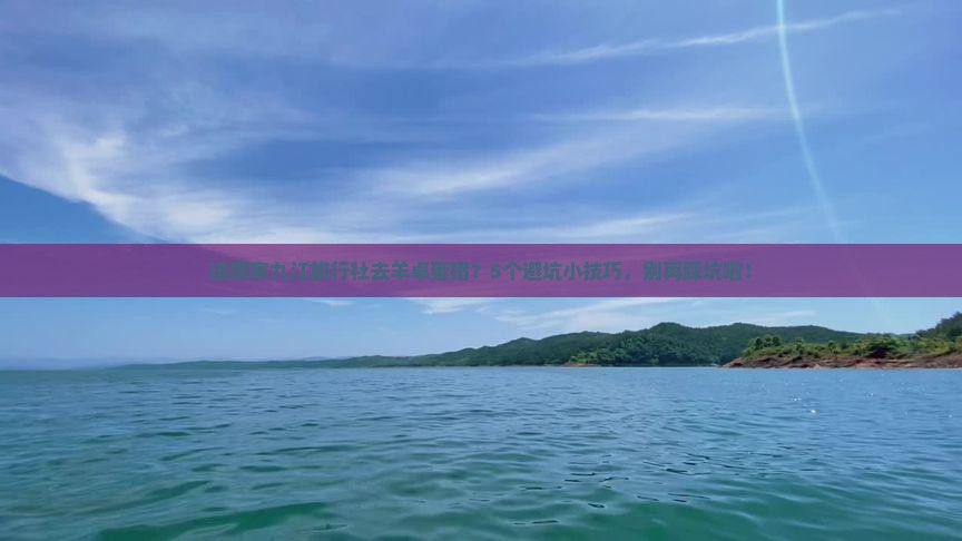 九江到西藏羊卓雍措旅行社