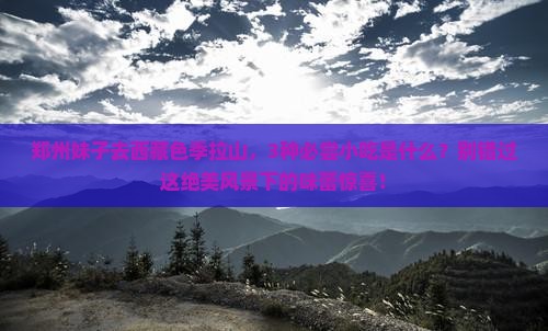郑州去西藏色季拉山旅游小吃
