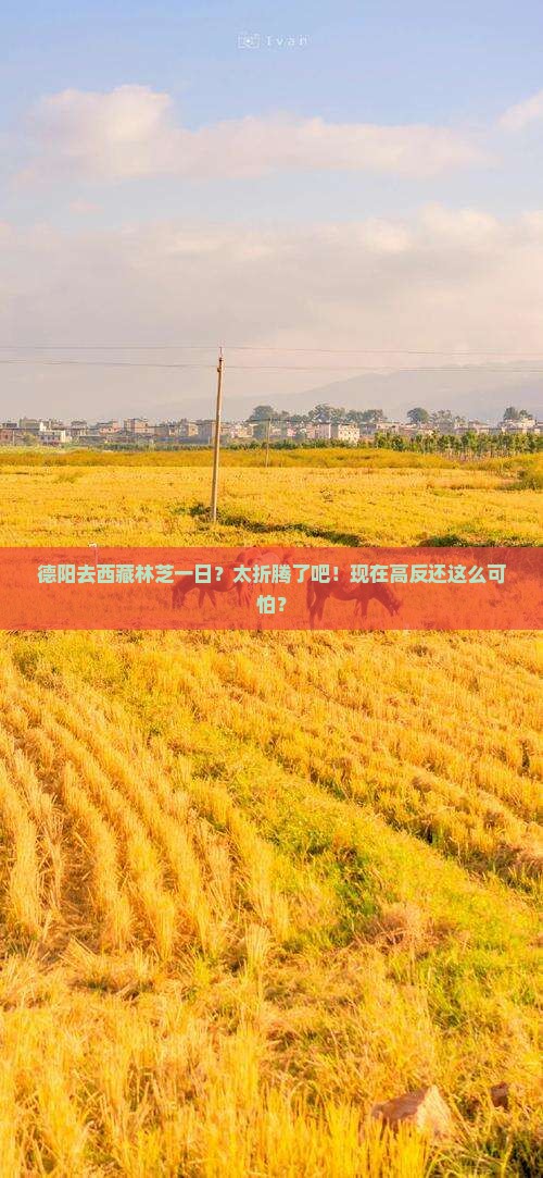 德阳去西藏林芝一日