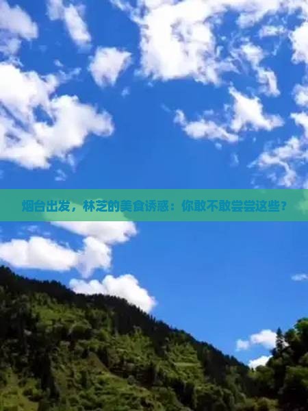 烟台去西藏林芝旅游小吃