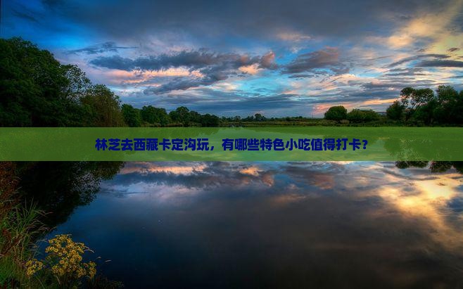 林芝到西藏卡定沟旅游小吃