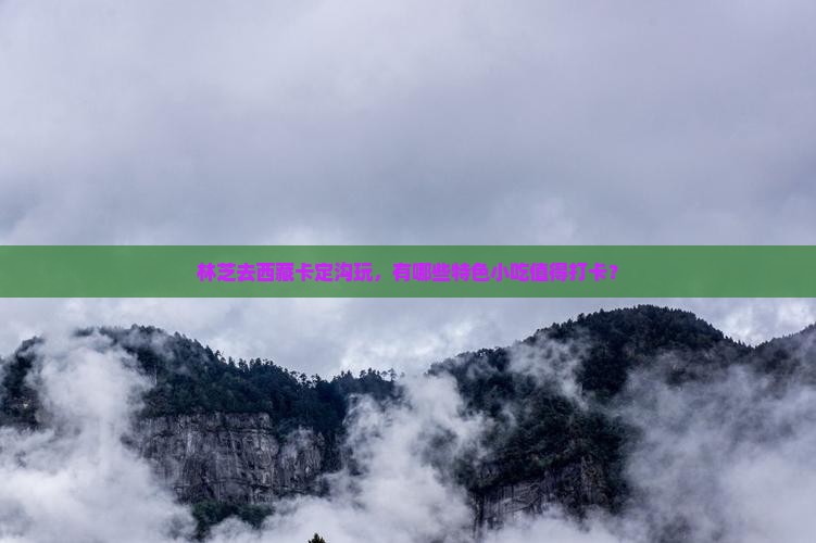 林芝到西藏卡定沟旅游小吃