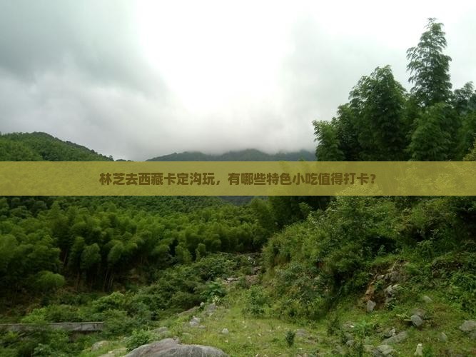 林芝到西藏卡定沟旅游小吃