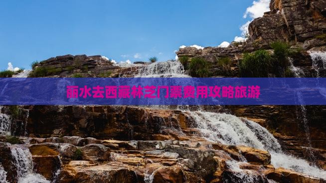 丽水去西藏林芝门票