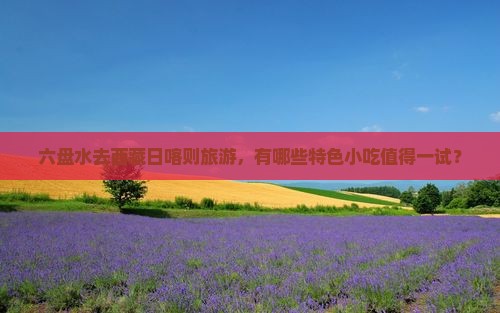 六盘水去西藏日喀则旅游小吃