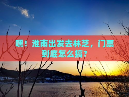 淮南去西藏林芝门票
