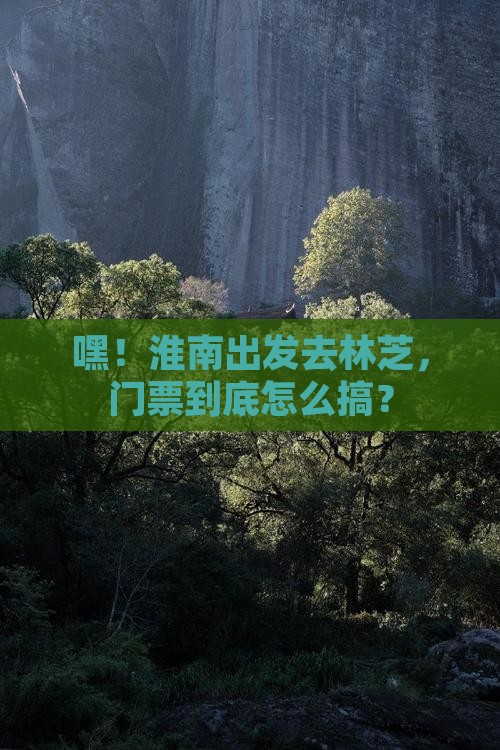 淮南去西藏林芝门票