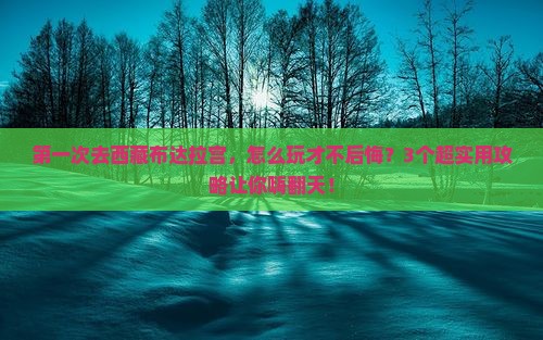 玉树去西藏布达拉宫攻略