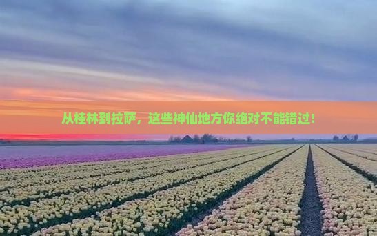 桂林到西藏拉萨必去地