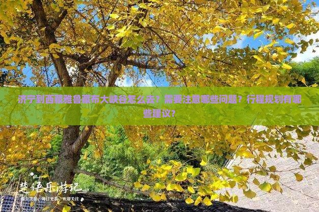 济宁到西藏雅鲁藏布大峡谷攻略