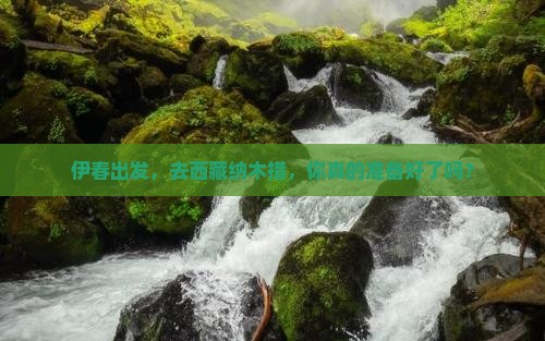 伊春去西藏纳木措攻略