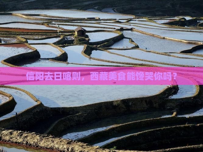 信阳去西藏日喀则旅游小吃