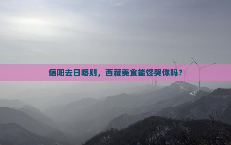 信阳去西藏日喀则旅游小吃