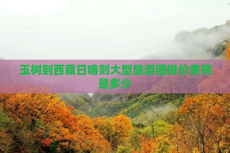 玉树到西藏日喀则大型旅游团