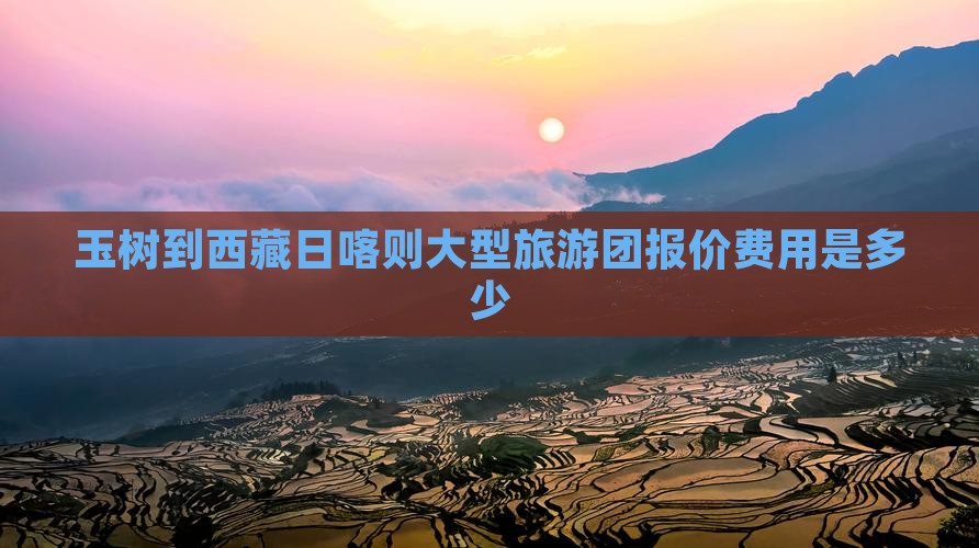 玉树到西藏日喀则大型旅游团