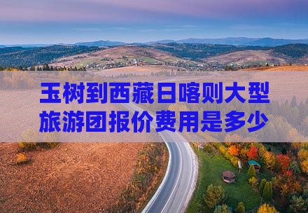 玉树到西藏日喀则大型旅游团