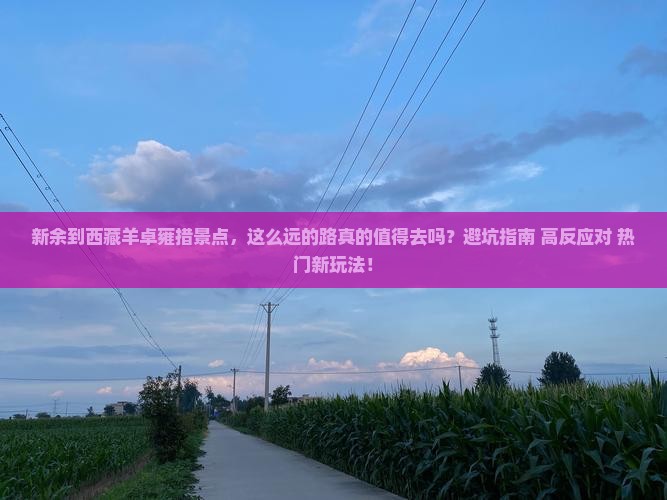 新余到西藏羊卓雍措景点