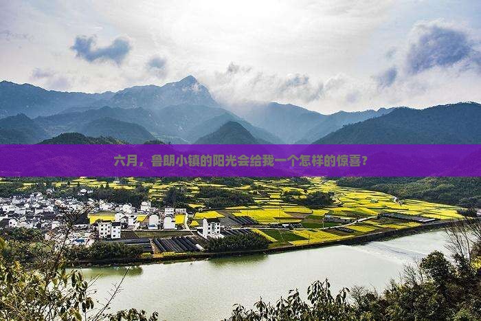 六月到西藏鲁朗小镇个人游