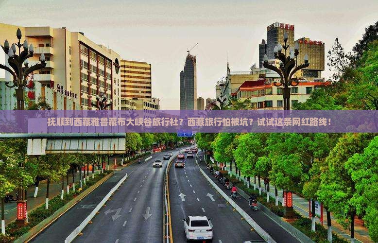 抚顺到西藏雅鲁藏布大峡谷旅行社