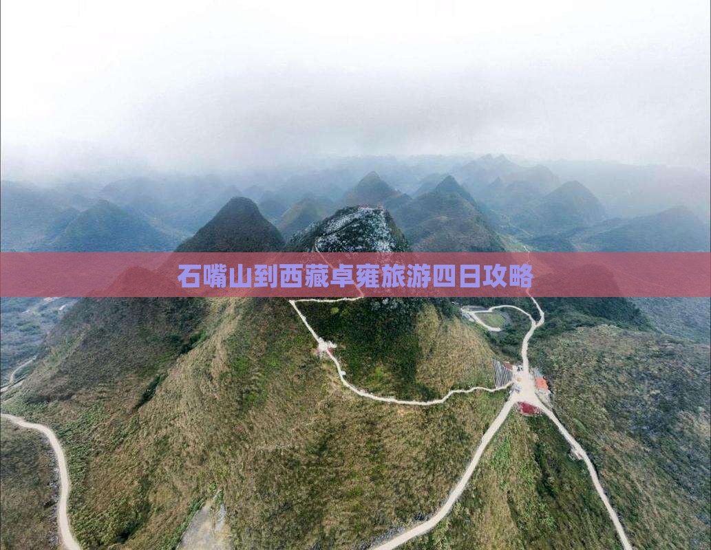 石嘴山到西藏羊卓雍措四日游