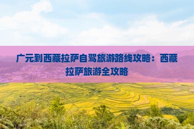 广元到西藏拉萨旅游