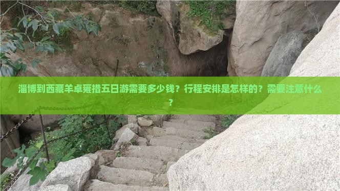 淄博去西藏羊卓雍措五日游