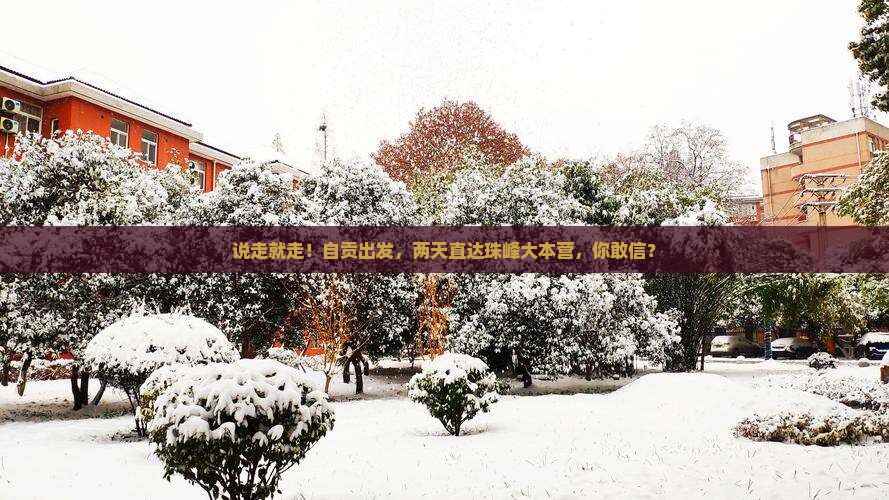 自贡到西藏珠峰大本营二日游