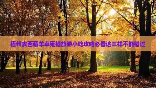 梧州去西藏羊卓雍措旅游小吃