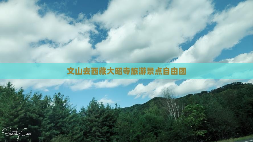 文山去西藏大昭寺自由团